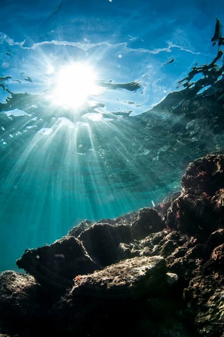Свет через океан. Подводные пейзажи. Океан. Морские глубины. Красивые подводные пейзажи.