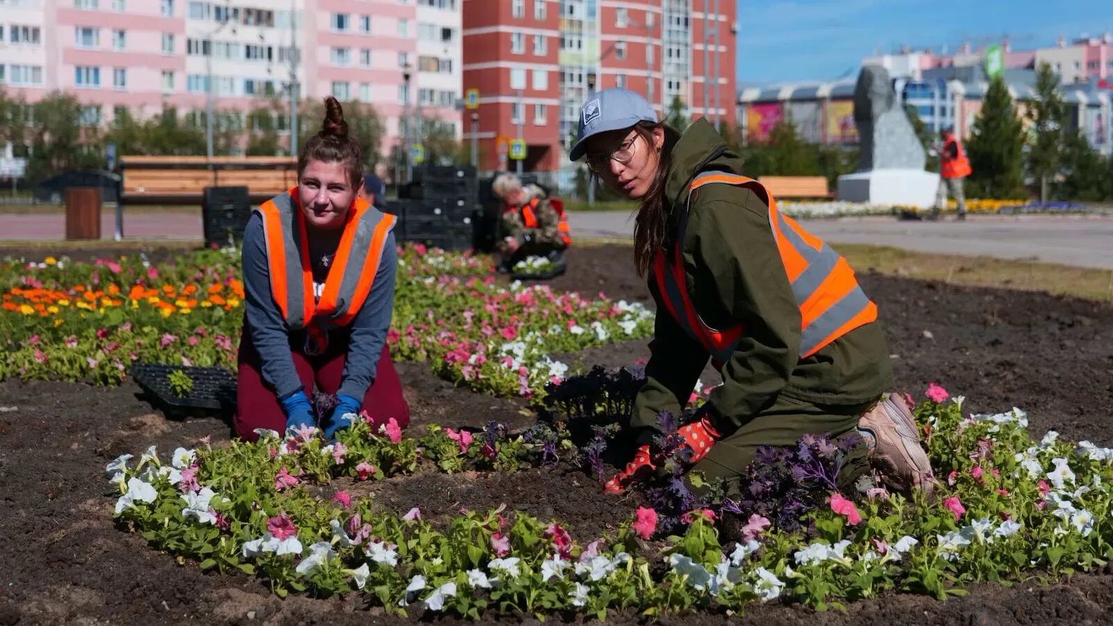 Городское Озеленение высадка цветов. Новый Уренгой Озеленение. Озеленение Ямала. Современные клумбы в поселке. Лабытнанги уренгой