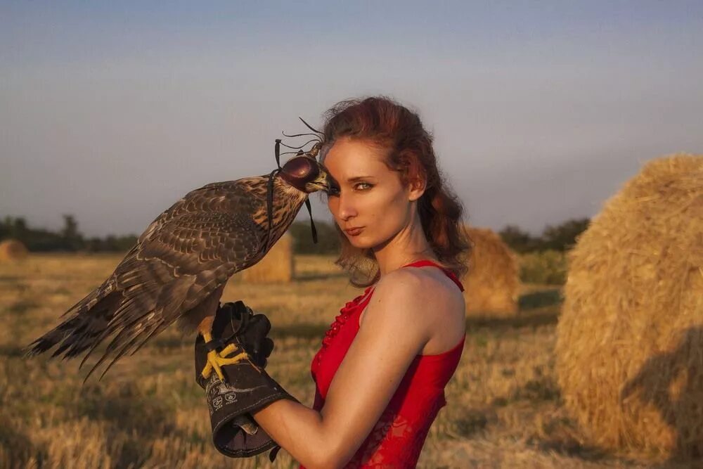 Девушка с соколом. Женщина ястреб. Фотосессия с орлом. Девушка с соколом. Женщина воин с крыльями.