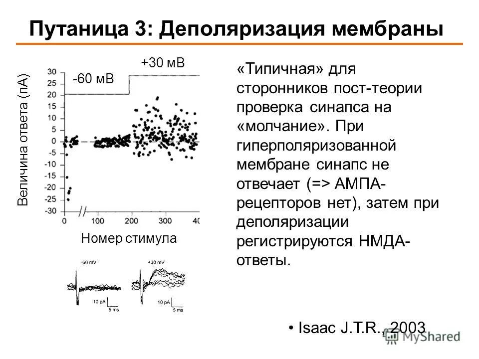 Деполяризация мембраны клетки. Деполяризация мембраны это. Деполяризация клеточной мембраны. Процесс деполяризации мембраны.