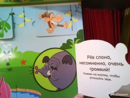 Нажимай открой