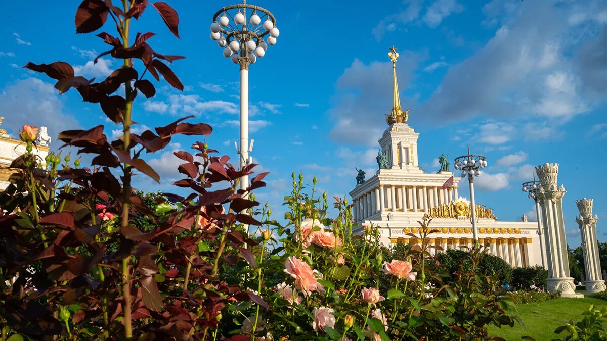12 июля вднх. Вднх приглашает москвичей на «сиреневую ночь» 18 мая.