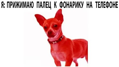 2022 meme