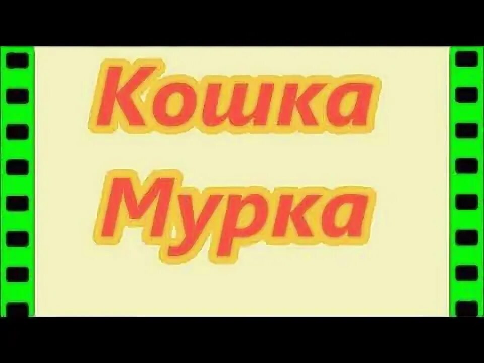 Смешной кот и мурка. Смешной кот и мурка
