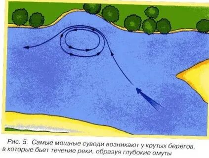 Бровка в воде