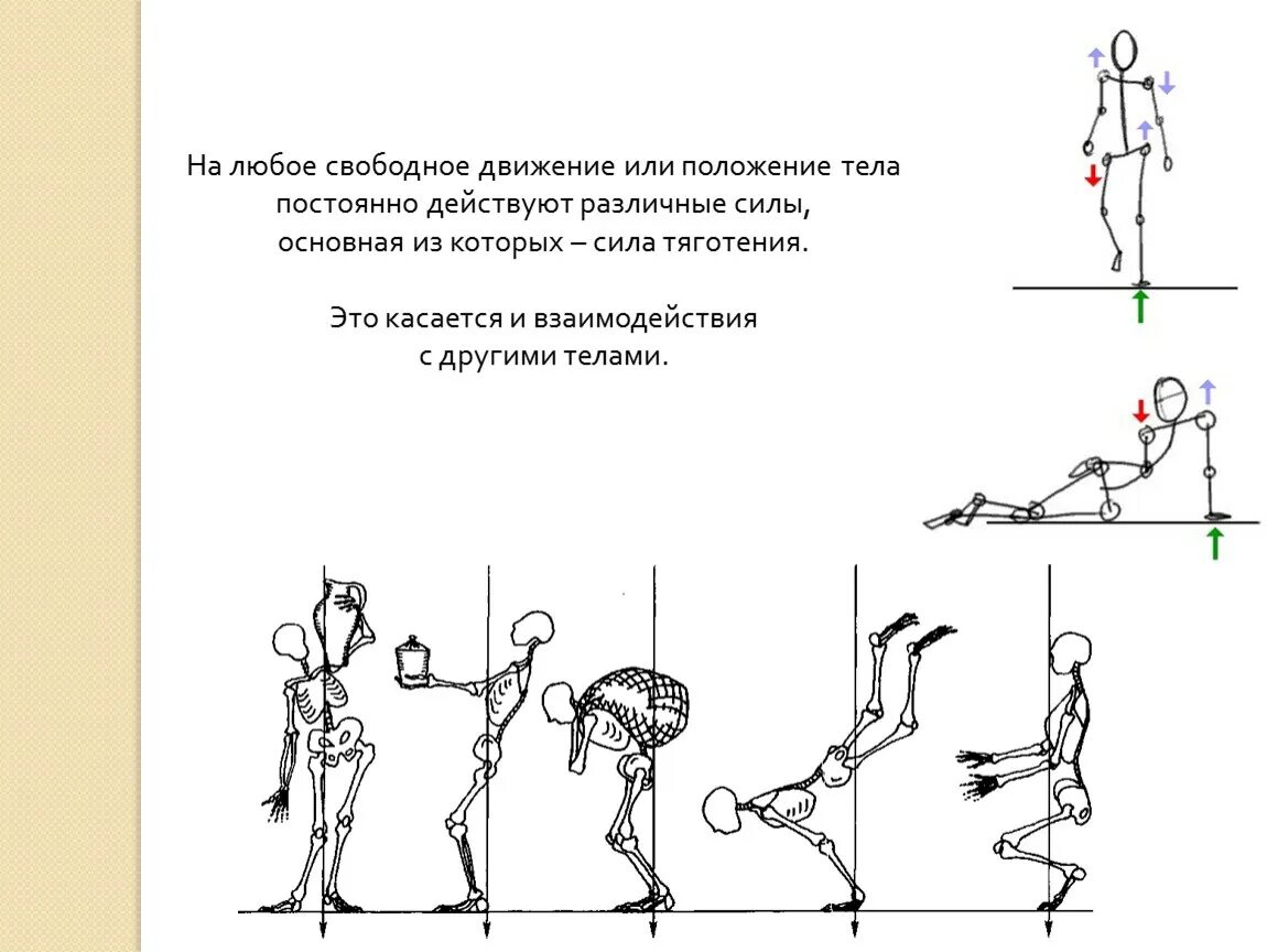 Названия движений человека. Кинематика движений человека. Движение это сила рисунок. Схема человека в движении. Движения человека регулируются.