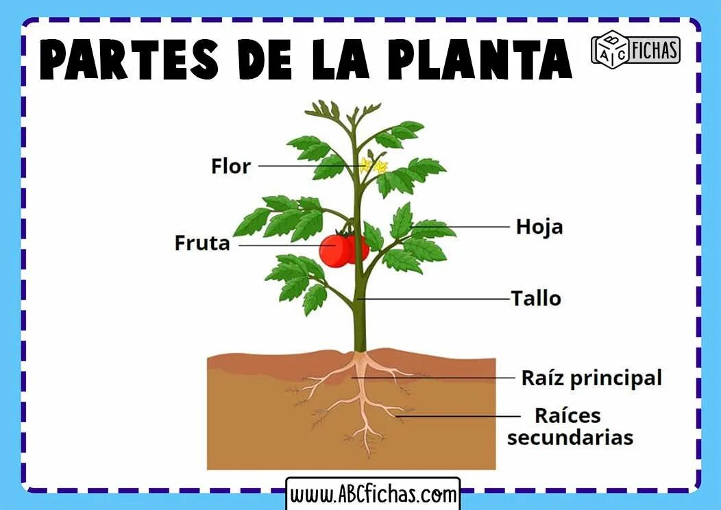 De una parte