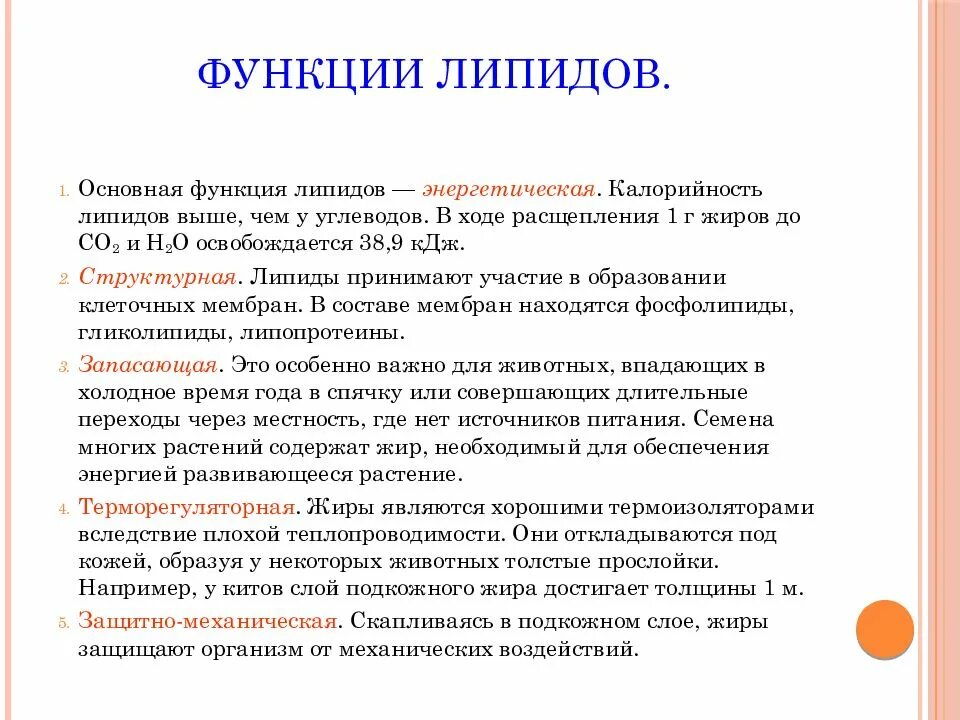 1 из функций жиров. Функции белков липидов и углеводов таблица. функции углеводов и функции липидов. функции углеводов липидов и белков кратко. функция липидов жиров и углеводов.