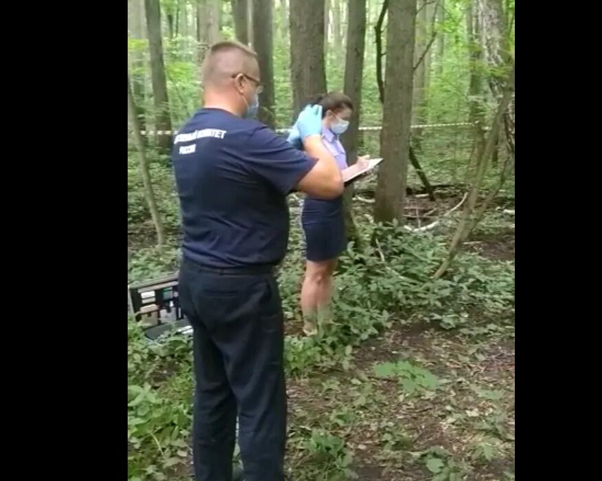 Поймали и наказали видео. Привязали к дереву в лесу. Привязанный к дереву мужчина. В Богородицке привязали к дереву.