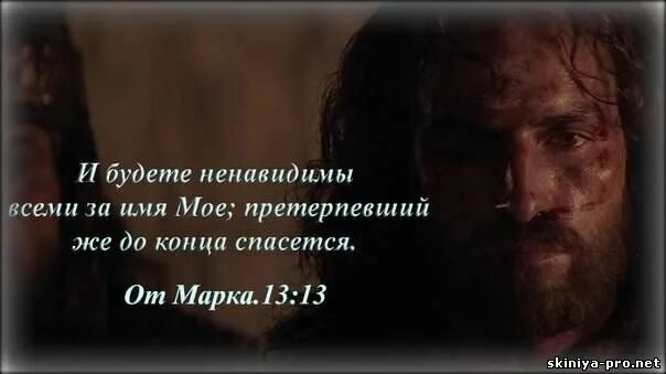 Люди которые ненавидят животных. Ненавижу бывших друзей. Есть люди которые меня любят пусть любят. Статусы про людей которые врут. Статус есть люди которые я ненавижу.