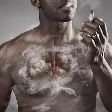 Smoke is bad for you. Smoke is bad for you