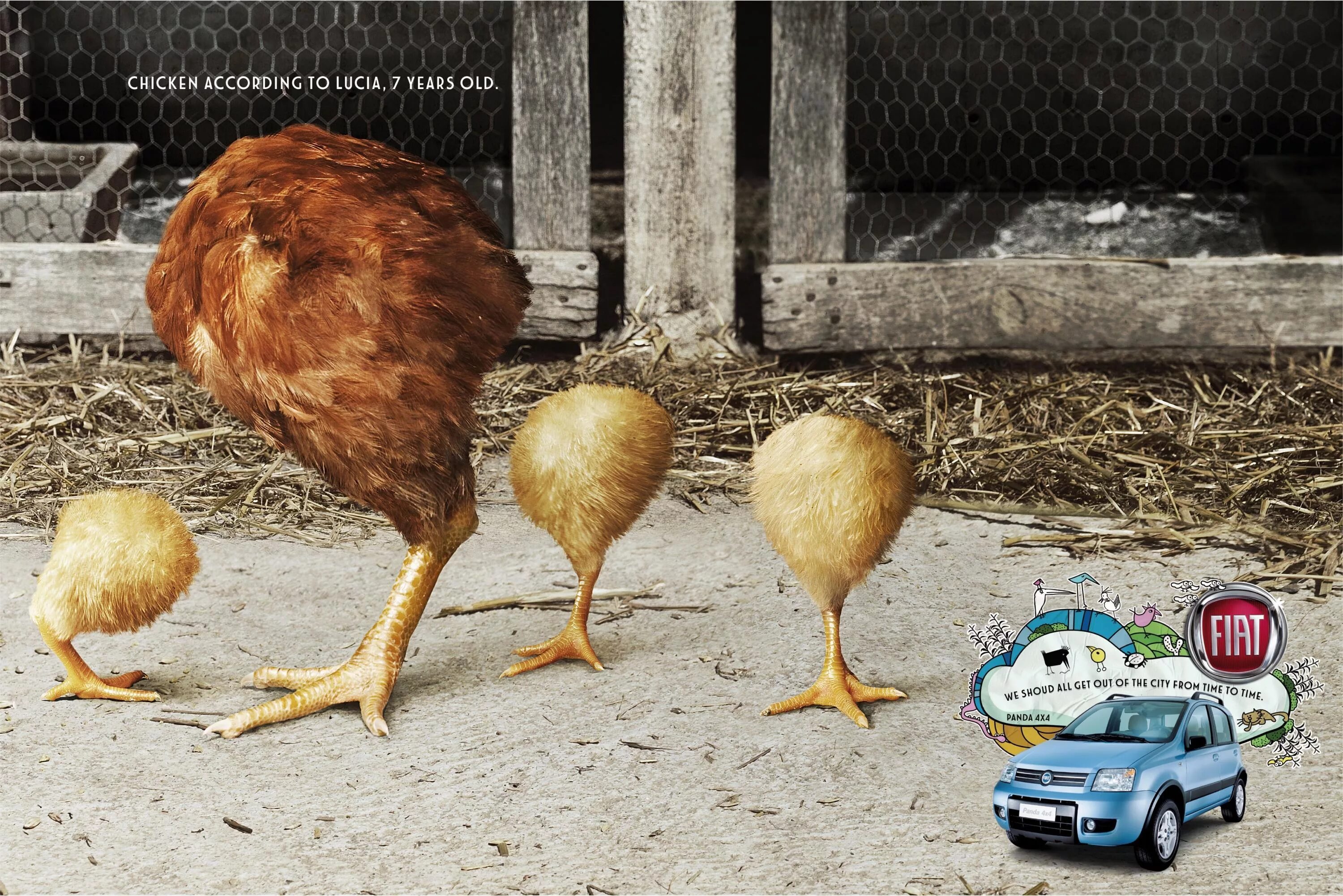 Креативная реклама курицы. Креативная курица. Реклама курицы. Реклама курочки.