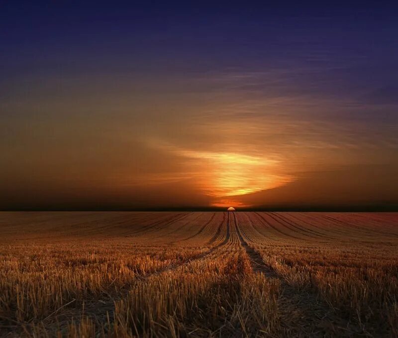 Солнце встало какое время. Рассвет над полем. Рассвет в поле. Рассвет перспектива. Закат озарил.