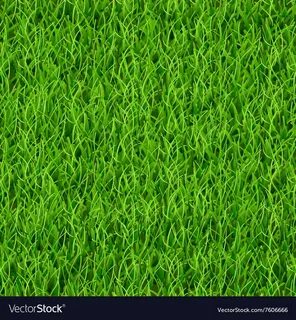 Grass 2