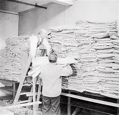 Mike s administrative work. American relief administration. american relief administration 1921 уфа. civil works administration 1934. civil works administration.