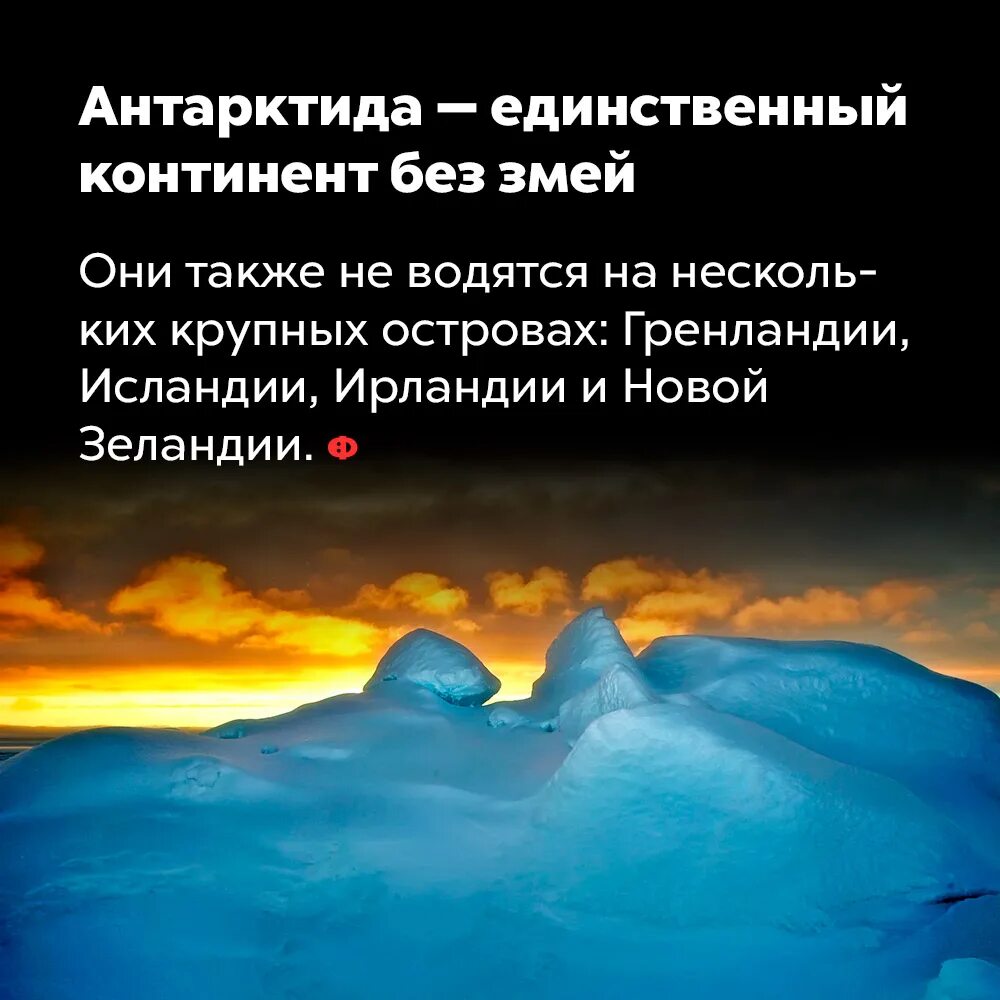 Самое самое антарктида. Антарктида материк 2 класс окружающий мир. Антарктида самый холодный материк. Антарктида самый высокий материк земли. Презентация антарктида 7 класс.