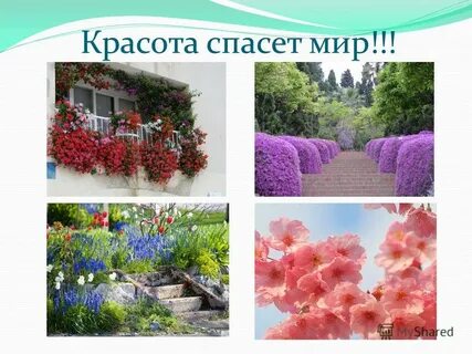Красота презентация
