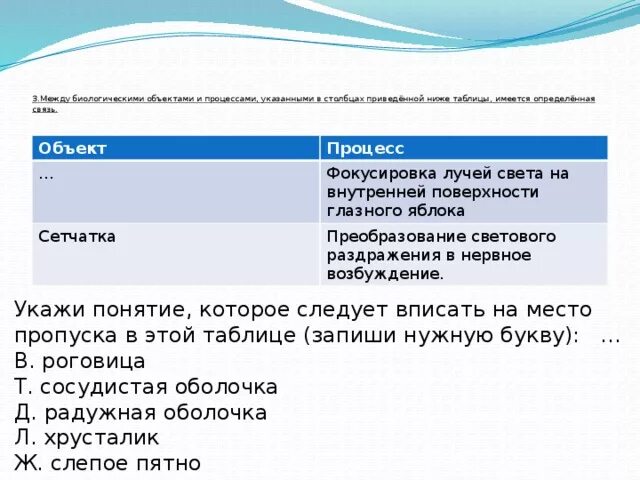 Фокусировка лучей света на внутренней поверхности глазного. Между объектами и процессами указанными в Столбцах. Между биологическими объектами и процессами указанными. Фокусировка лучей света на внутренней поверхности глазного яблока. Таблица объект и процесс.