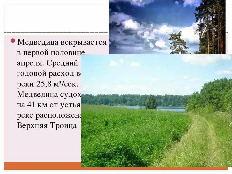 Среднегодовой расход воды реки. Устье реки Медведица Тверская область. Река Медведица Тверская область. Презентация реки Тверской области. Устье реки Медведица Тверская.