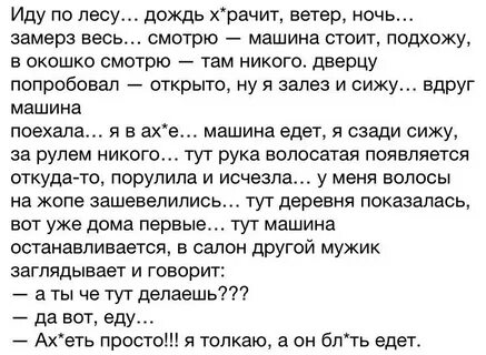 Они уже полезли через стену вдруг гуси