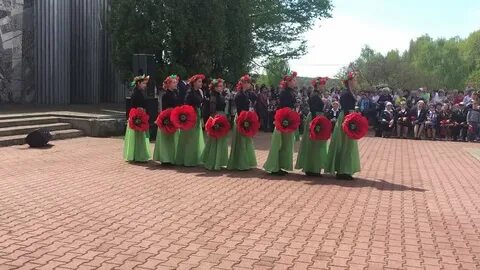 Мак волоколамск