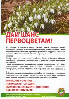 Листовка первоцветы