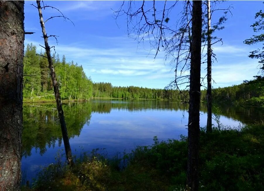 Озеро среднее озерное. Озеро Куйто. Озеро Куйто Карелия. Среднее Куйто. Оз верхнее Куйто.