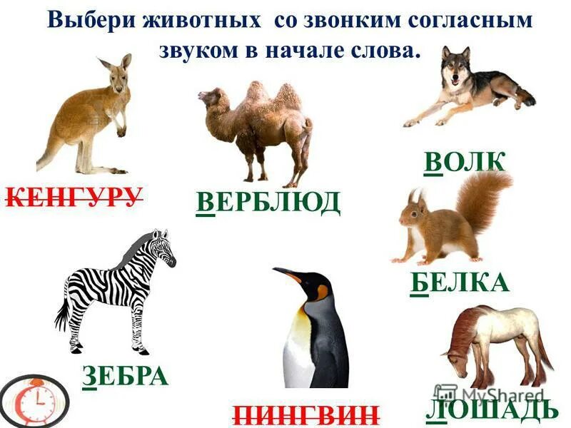 В названии лесного зверька две буквы. Животные звуки. Названия животных со звуком с. Животные на звук с в начале. Животные со звуком с в названии.