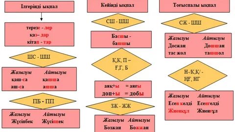 Беркова жатақханасының жыныстық сипаттамасы