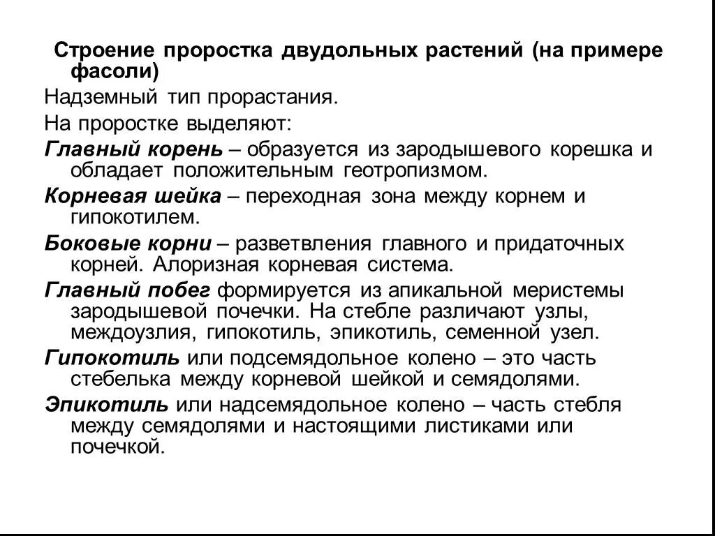 строение и зоны молодого корня. лабораторная работа строение корня. лабораторная работа строение корня. корневая система вывод. внешнее строение корня лабораторная работа.