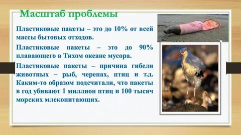 Проект исследование механических свойств полиэтиленовых пакетов