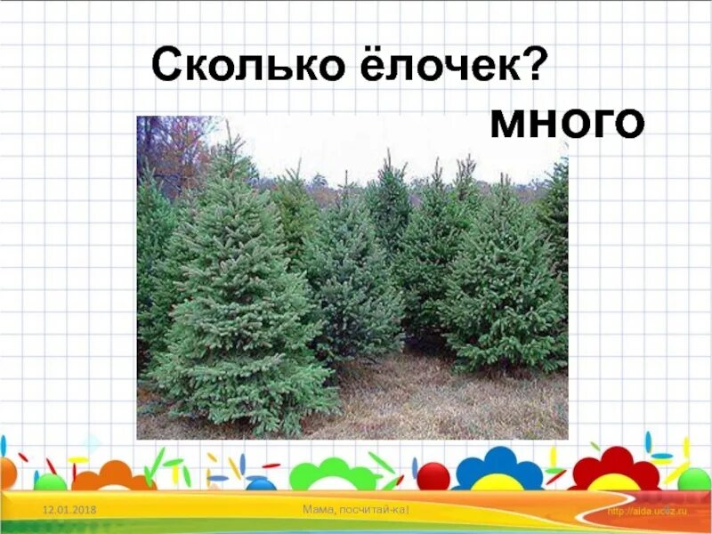 Как быстро растет елка. Сколько на елочке. одна елка много елок. посчитай сколько елочек. посчитайте количество елочек.