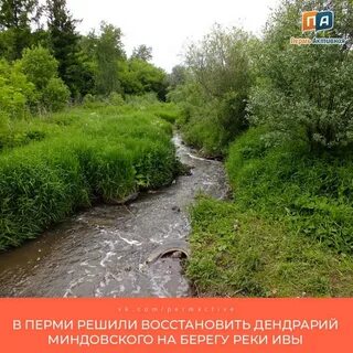 Мелком пермь