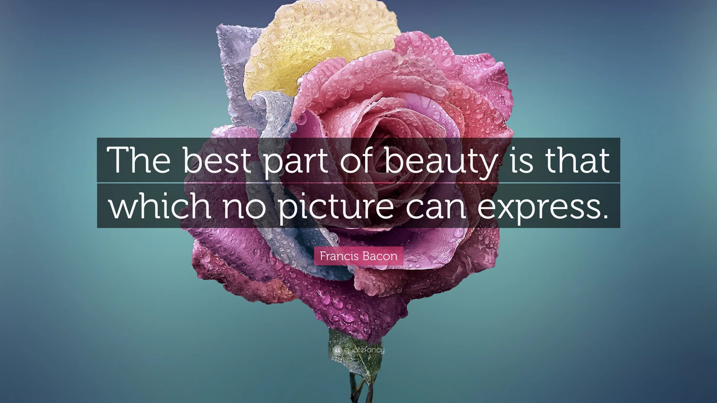 You can be the beauty. Everything has Beauty but not everyone sees it. Everything has its Beauty but not everyone sees it Confucius.. Everyone has Beauty. Beauty in everything картинка.