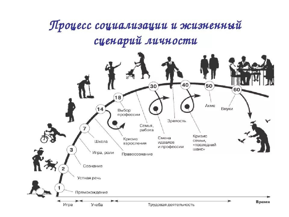 Жизненный сценарий. Жизненный сценарий человека. Сценарий жизни психология. Процесс социализации и жизненный сценарий личности.