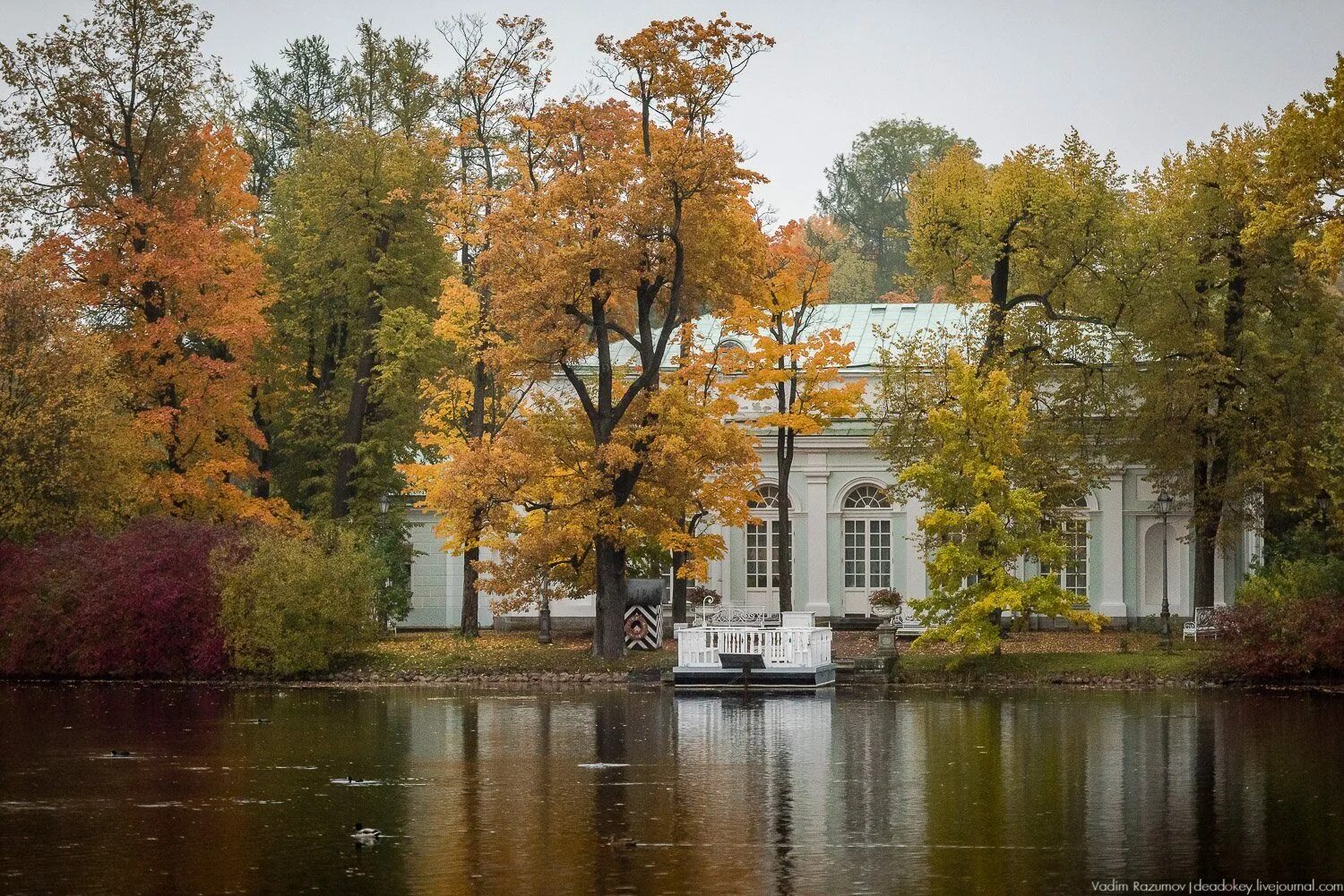 Усадьба михайловское пушкинские горы. Город пушкин царское село александровский парк. Александровский парк царское село. Села пушкин. Села пушкин.