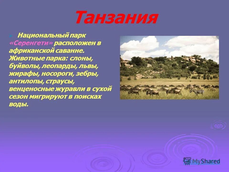 Национальный парк серенгети это культурное или природное наследие. Сообщение о парке серенгети. Объясните термины серенгети. Серенгети его материк. Растения в серенгети.