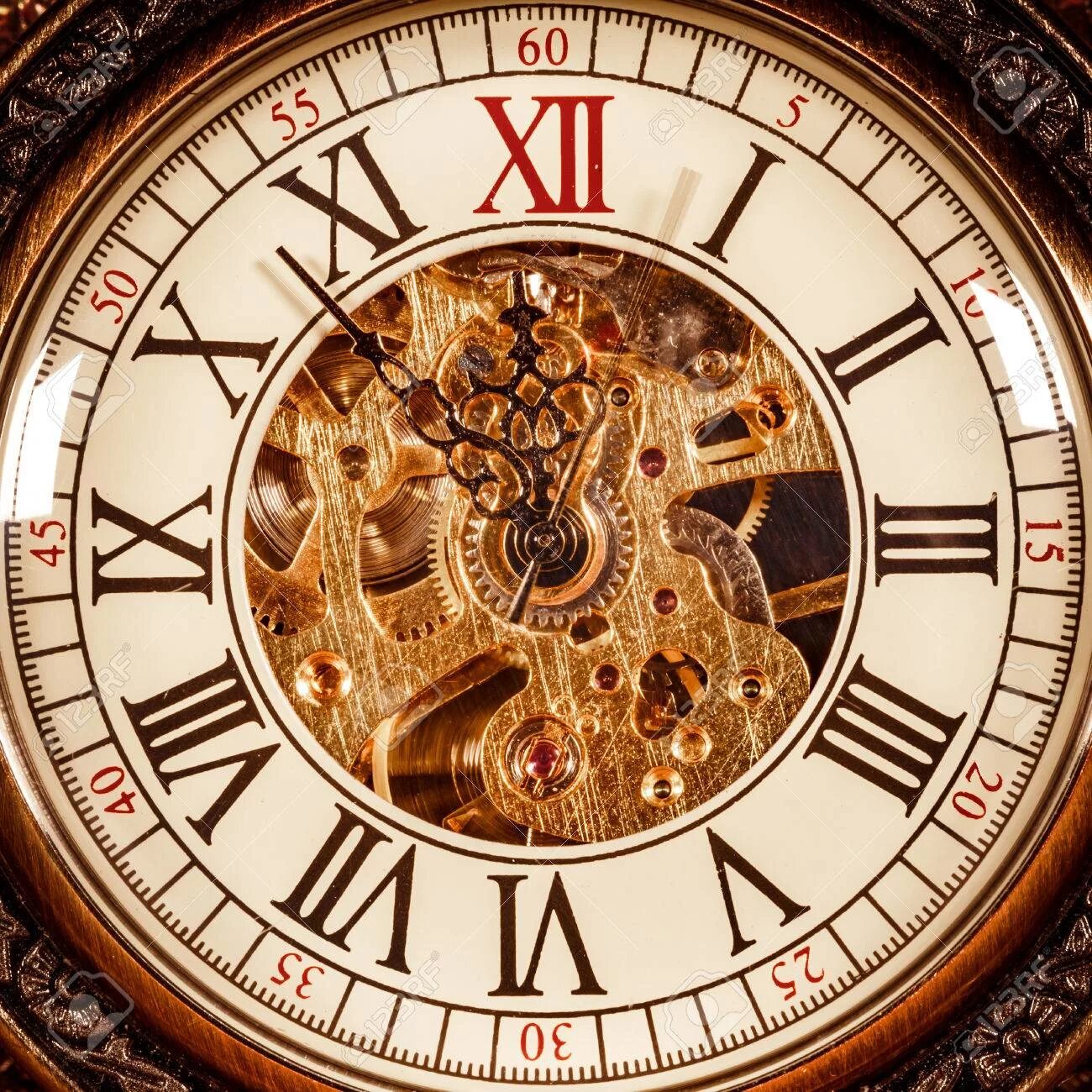 Часы циферблат. 24 часа по часам. Часы хромакей. Трафарет "циферблаты". Часы для футажа.