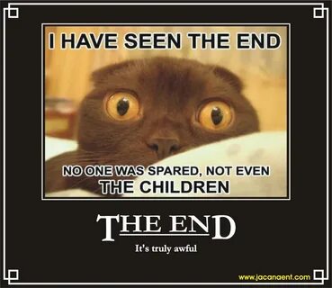 Funny end
