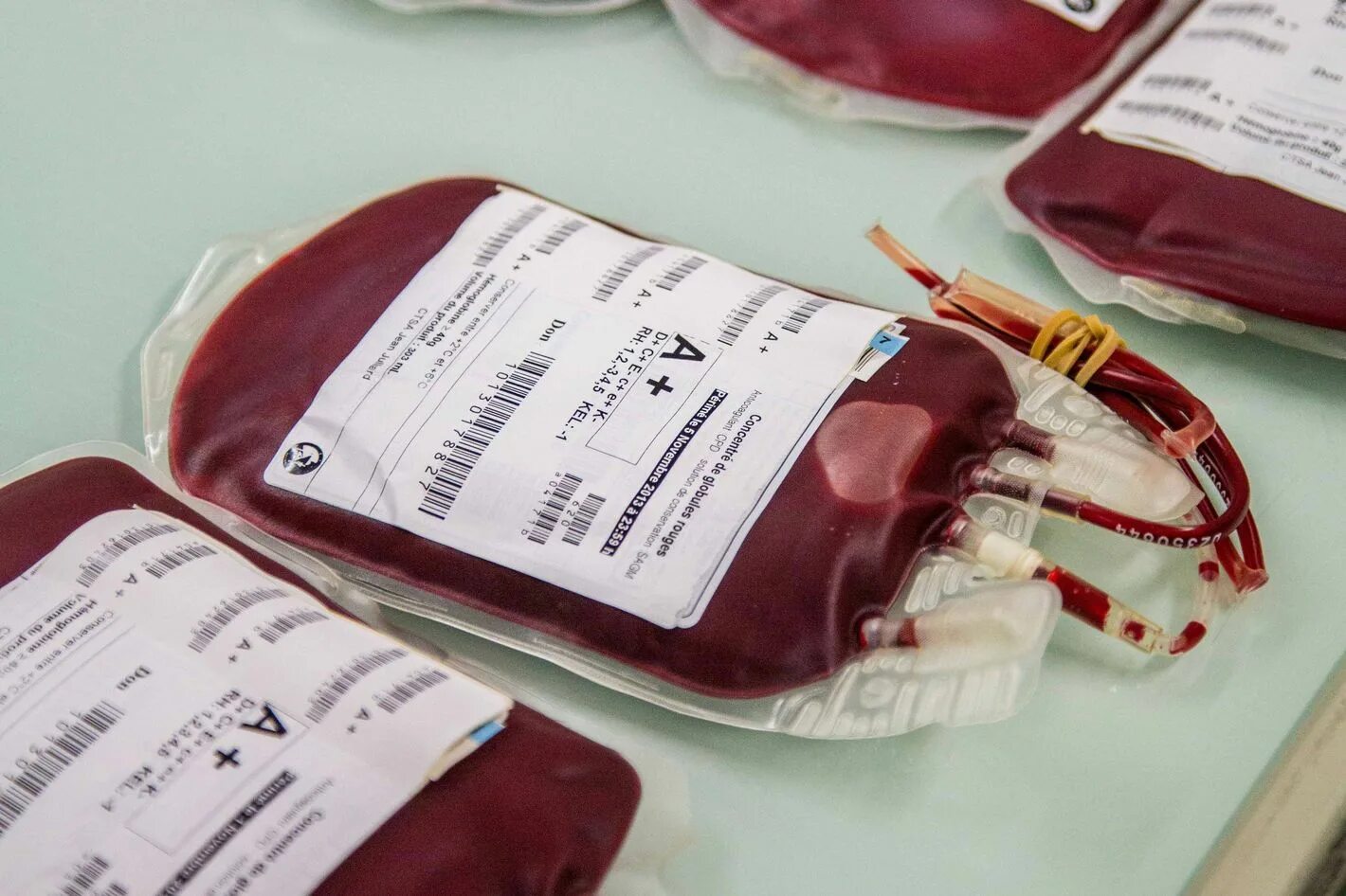 Биологический донор. Мешки для хранения крови. Пакет с кровью для переливания. Мешок для переливания крови.