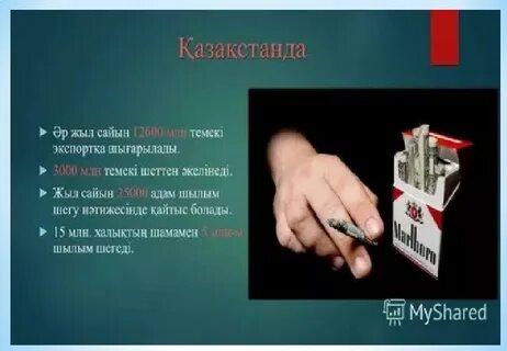 Транссексуалды порно жұлдыздардың фотосуреттері