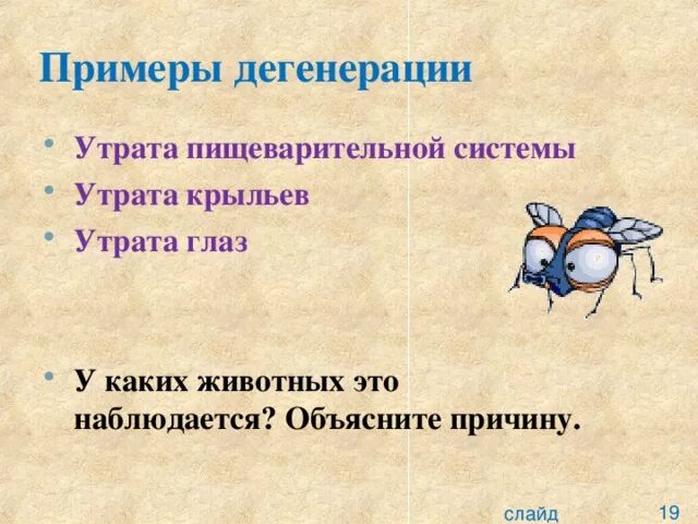 Общая дегенерация примеры. Примеры дегенерации у животных. Дегенерация примеры у животных и растений. Примеры общей дегенерации в биологии.