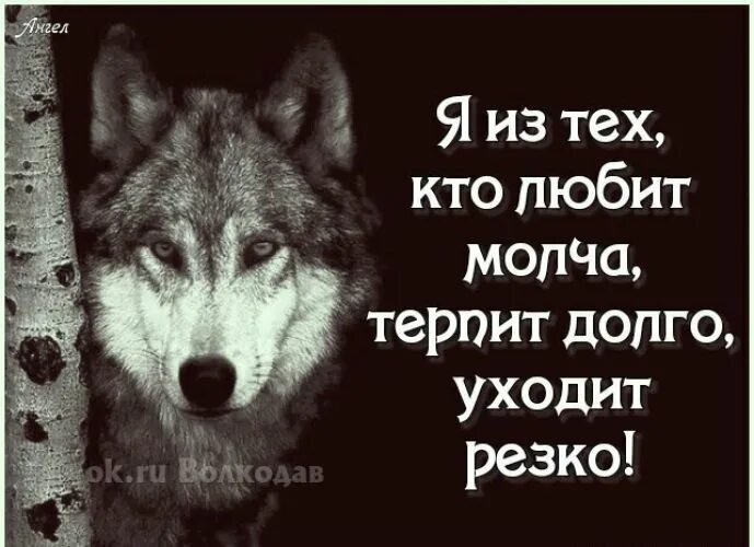 Кто где не вижу но мне нравится