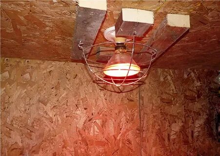 Чем обогреть курятник зимой экономично безопасно