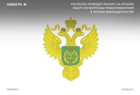 Федеральное агентство лесного хозяйства деятельность