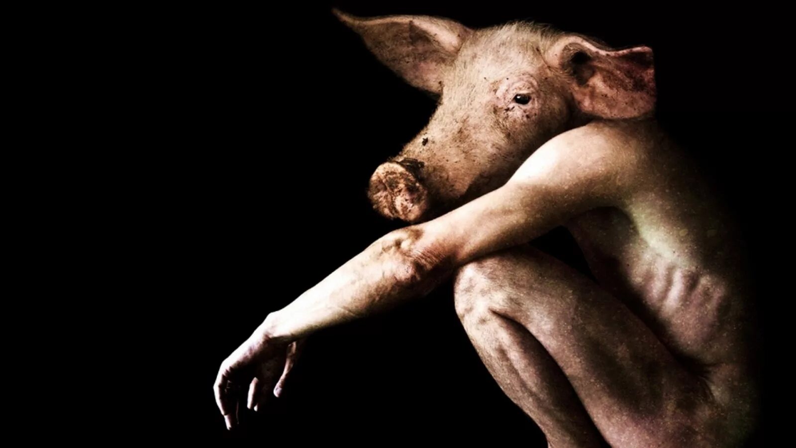 Превращение человека в свинью. Вместо свиньи