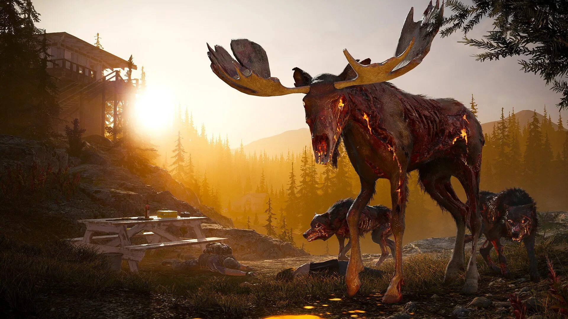Far cry 5 издания. Far cry 5 игра. far cry 5 remastered. фар край 5 голд эдишн. фар край 5 длс.