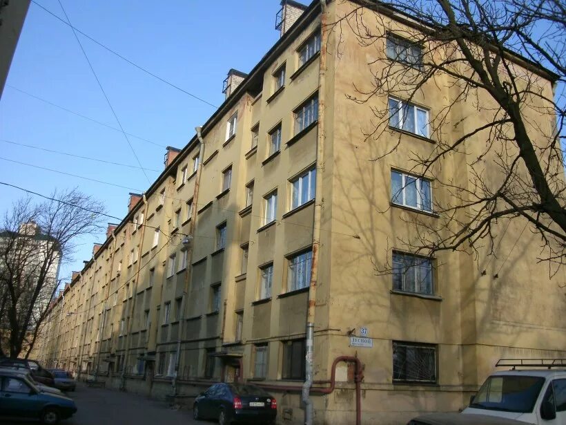 Лесной проспект фото