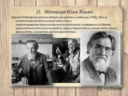 Имена мечников