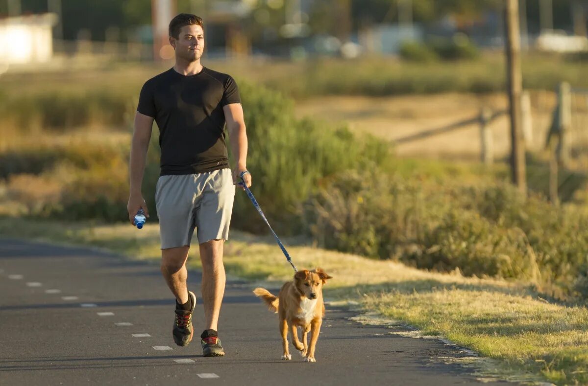 Прогулка "the walk. Походка городская. Walking with Dog. Man with Dog Walking.